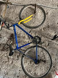 Bicicletta