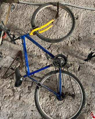 Bicicletta