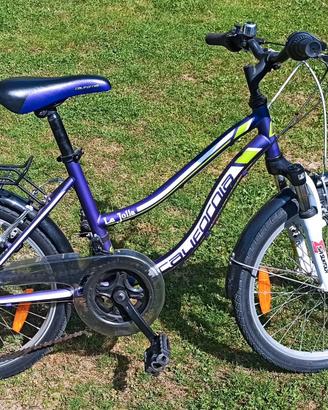 Bicicletta bambina , 12 marce , ammortizzata 20 po