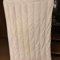 Piumino Danese 100x140 in vera piuma d'oca