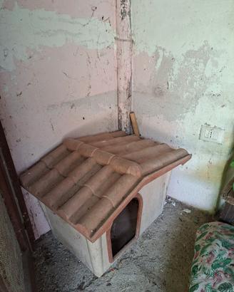 casetta per cane