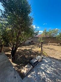 Casa indipendente su due livelli con giardino