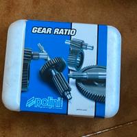 Rapporti secondari piaggio zip polini 14-48(NUOVI)