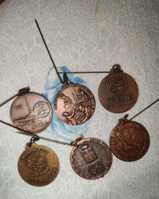 Medaglie Adunata Nazionale Alpini