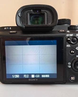 Sony a7 s2