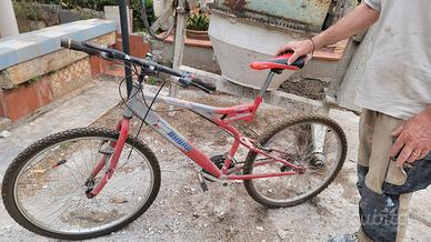 Bicicletta