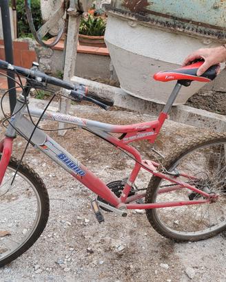 Bicicletta