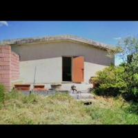 Vigna con Ricovero attrezzi da 50 mq