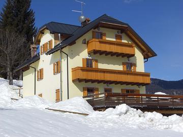 Tarvisio, il bosco, la tranquillità