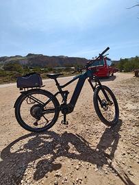 E-bike kettler quadriga duo