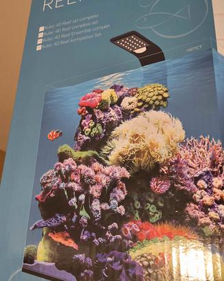 acquario aqpet reefbox 40