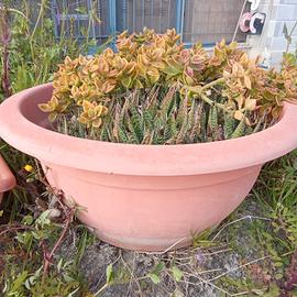 vasi in plastica dura per giardino 