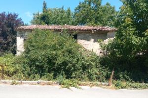 Rustico Rurale con Terreno e Bosco