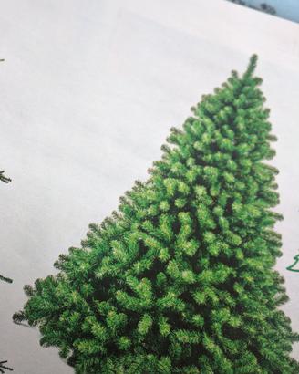 Albero di Natale 