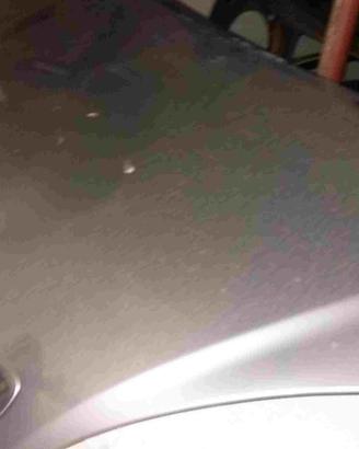 COFANO ANTERIORE CITROEN Xsara Picasso 2° Serie (