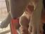 Immagine 4