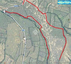 TER. AGRICOLO A SPELLO