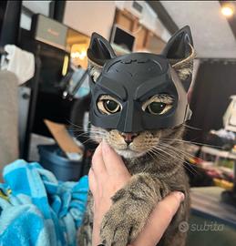 Casco di Batman per gatto