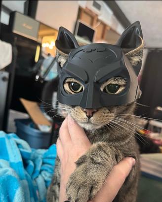 Casco di Batman per gatto