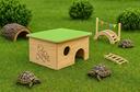 terrario-casetta-in-legno-cm-40-x-30-x-h-19