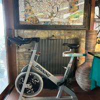 Bici da spinning PRO