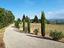 Immagine 8