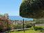 Immagine 22