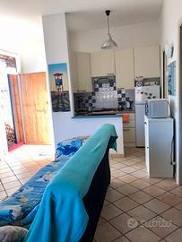 Casa mare Principina