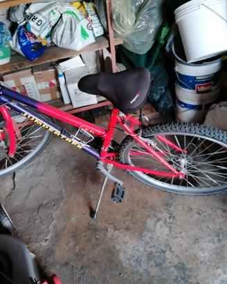 Mtb da donna raggio 26