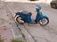 Immagine 3
