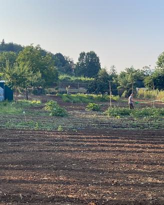 Terreno agricolo
