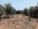 terreno-agricolo-mq-7500-belpasso-rif-05