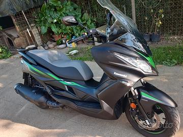 Kawasaki J300