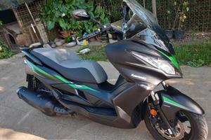 Kawasaki J300