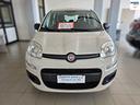fiat-panda-natural-power-easy-86cv-unico-pr-