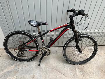 Bici 24”