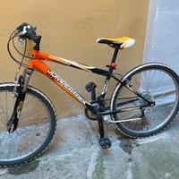 mountain bike