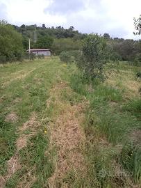 Terreno più casolari rustici