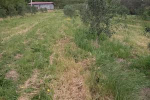 Terreno più casolari rustici