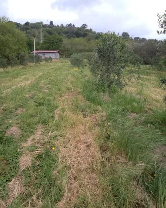 Terreno più casolari rustici