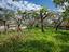 Immagine 27