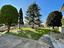 Immagine 23