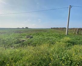 Terreno fronte strada e vista mare Rif.987