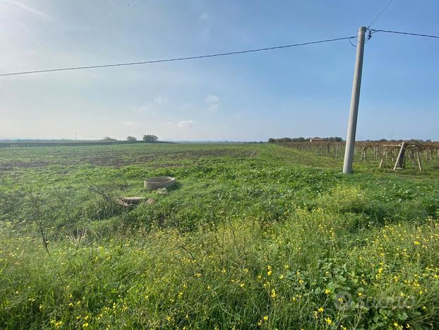 Terreno fronte strada e vista mare Rif.987