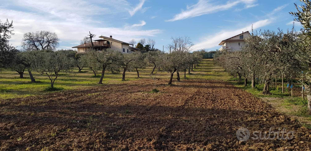 Vendesi terreno agricolo di 5000 mq