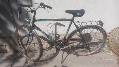 bici Bottecchia