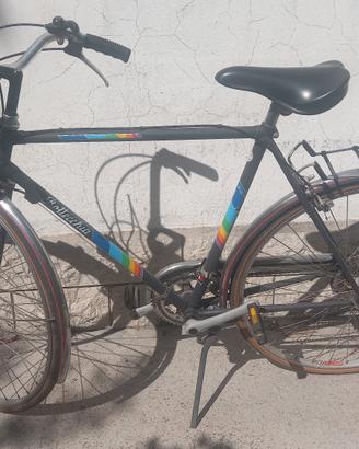 bici Bottecchia