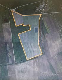 Terreno agricolo vigneto zona Marcanza (Tp)