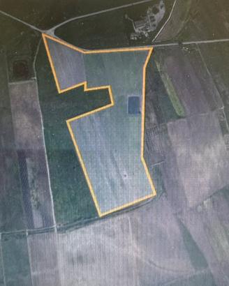 Terreno agricolo vigneto zona Marcanza (Tp)
