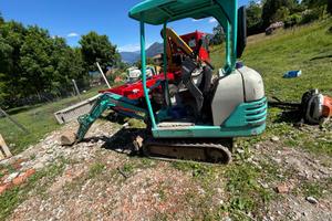 Miniescavatore